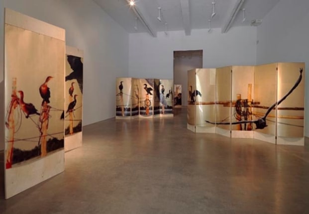 T. J. Wilcox, 2010, installation view. Metro Pictures, New York