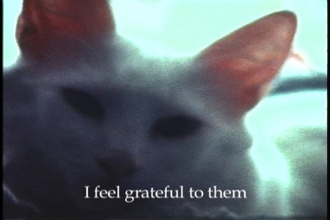 Still from "Garland #6", 2005. 16 mm film, 9 Minutes, 13 Seconds. Edition of 5. MP F-47