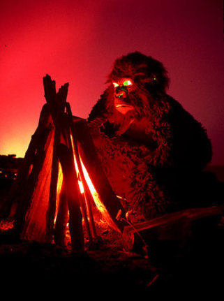 Apes, 2001. Mixed media, dimensions variable. MP 1