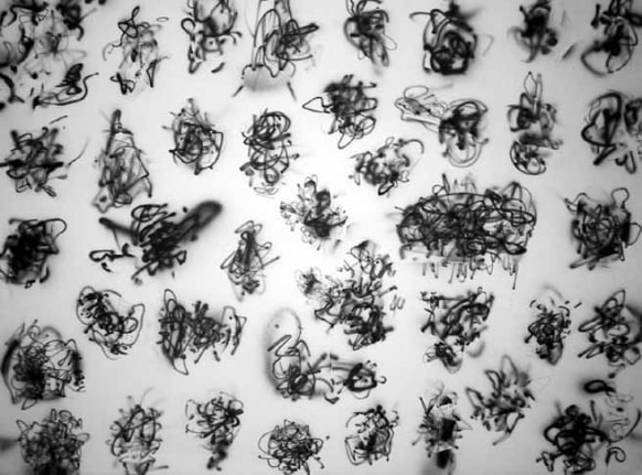 I Dreamt it Was OK to Draw Something, 2002. Graphite and airbrush on paper, 22 1/2 x 30 inches. MP D-254