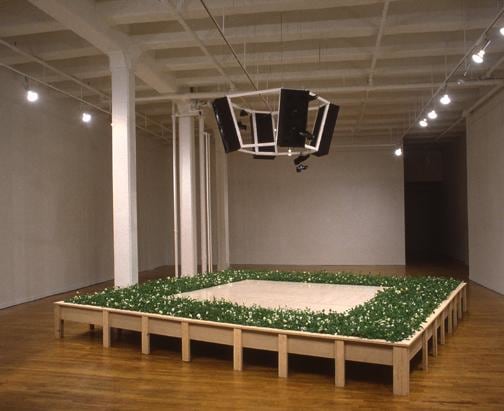 &quot;Sound Garden (Sound Drawing from the Garden of Faded Markings),&quot; installation view, 1995. Metro Pictures, New York.