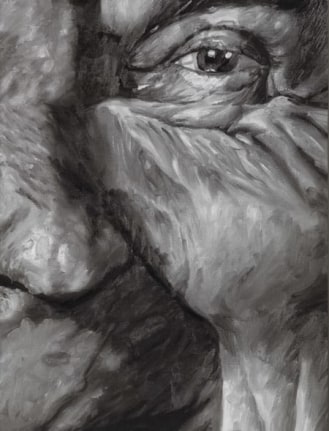 Jim Shaw: Distorted Faces book cover