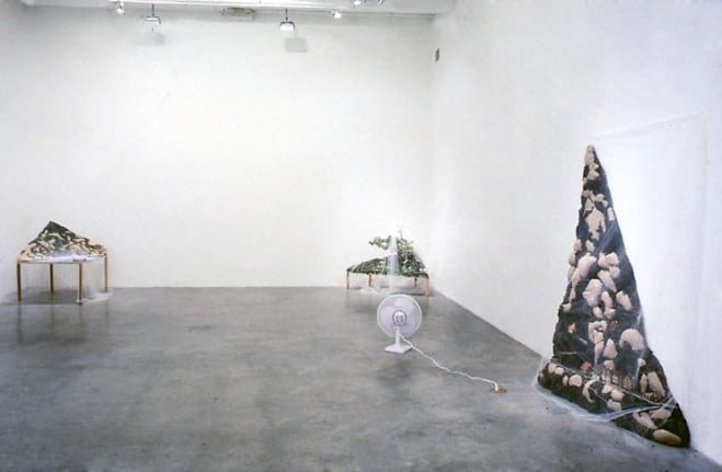 Installation view, 1999. Metro Pictures, New York.