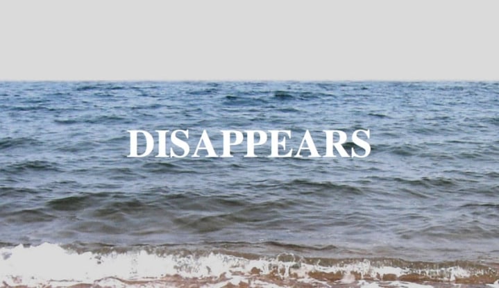 John Miller & Takuji Kogo, still from A Small Fish (In a Big Sea), 2010/2011. Single-channel video, flash files, duration: 3 minutes 38 seconds.