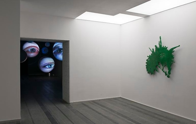 "agentic iced etcetera," installation view, 2013. PinchukArtCentre, Ukraine.