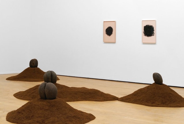 La vie Moderne, 13th Biennale de Lyon. Installation view, 2015. Lyon, France. 