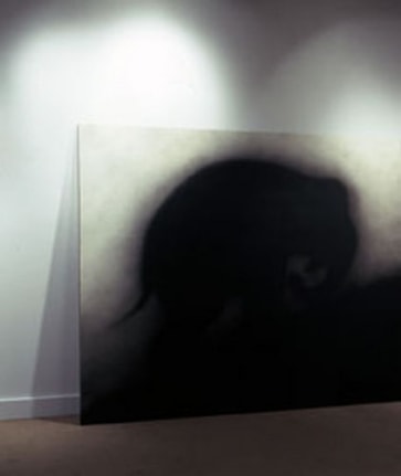 Keeping to yourself, 2007/2008. Cibachrome face mounted to plexi on museum box, 36 1/2 x 30 1/2 inches (92.7 x 77.5 cm). Edition of 5. MP 613