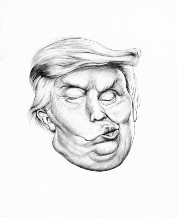 Trump Distortion #4, 2017