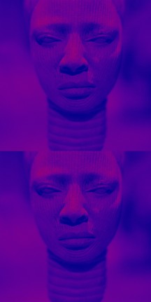 Sara VanDerBeek - Women &amp; Museums III, 2019.