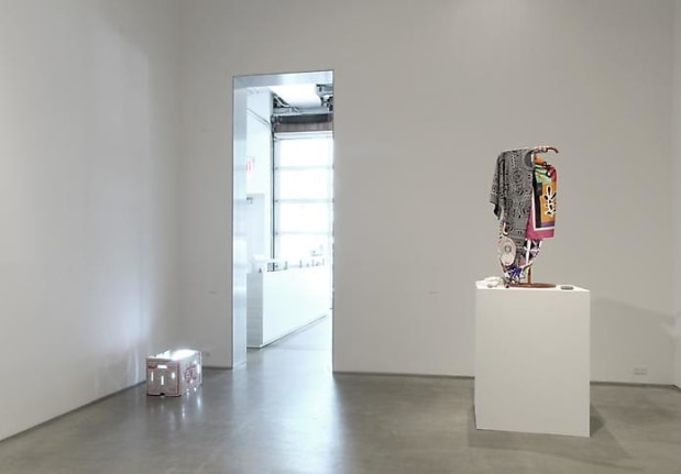 "Noa Noa," installation view, 2013. Metro Pictures, New York.