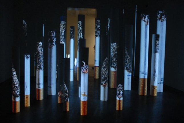 Marlboro, Camel, Winston, Parliament, Salem, Marlboro Light, American Spirit, 2009