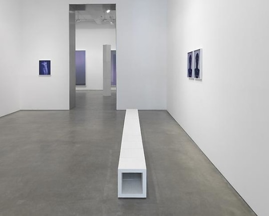 Installation view, 2013. Metro Pictures, New York.