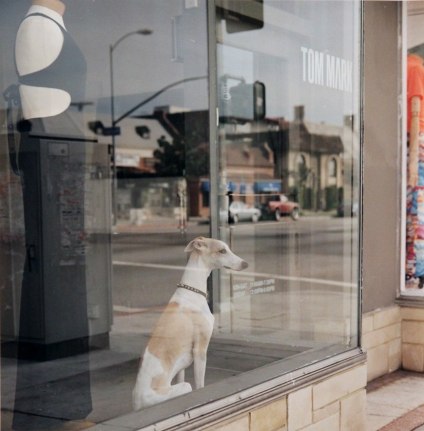 John Miller untitled photograph from 1996