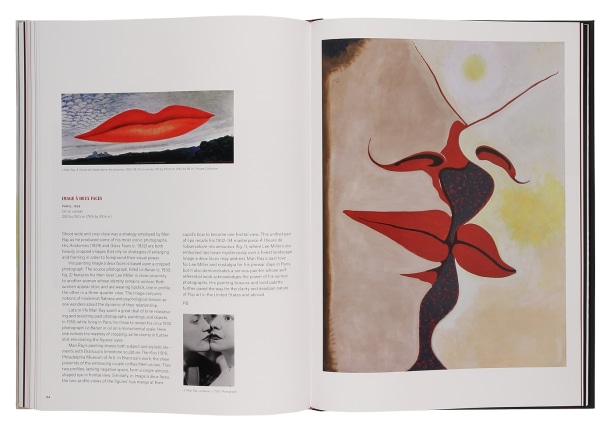 Enigma &amp; Desire Book Image 17