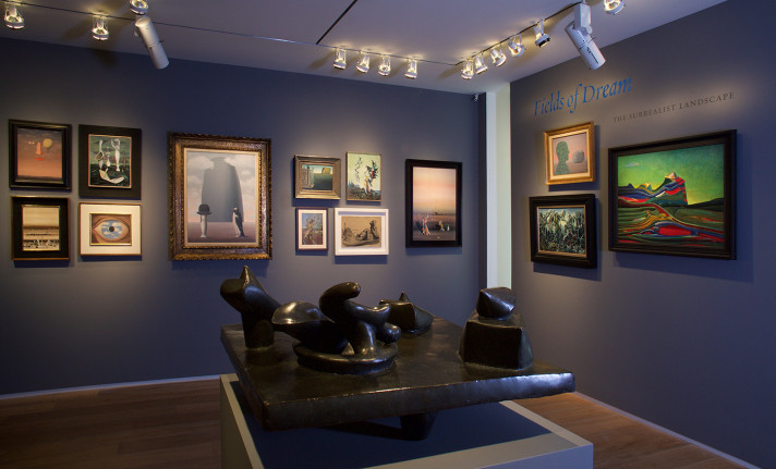 Fields of Dream, Installation View