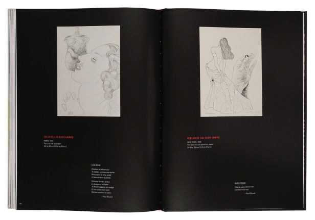 Enigma &amp; Desire Book Image 20