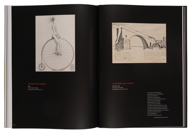 Enigma &amp; Desire Book Image 18