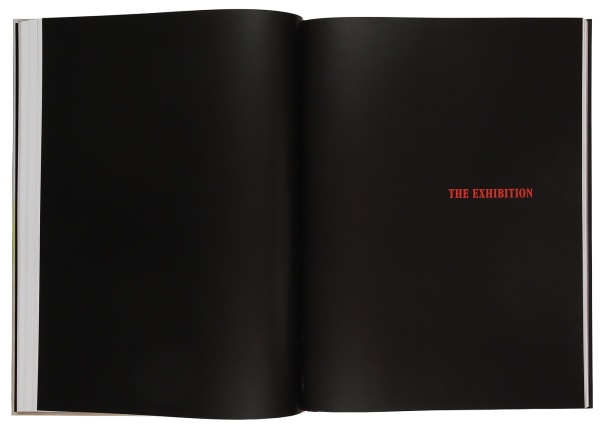 Enigma &amp; Desire Book Image 5