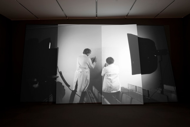 Hito Steyerl, focus: Hito Steyerl