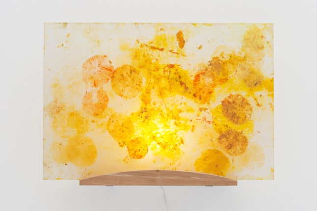  p.p1 {margin: 0.0px 0.0px 0.0px 0.0px; font: 12.0px Arial}
