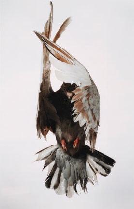 p.p1 {margin: 0.0px 0.0px 0.0px 0.0px; font: 12.0px Arial}