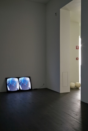 Michael E. Smith, June 24 - October 1, 2017,&nbsp;S.M.A.K, Ghent, Belgium