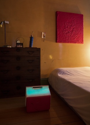 Michael E. Smith, November 18 - February 3, 2018, The David Ireland House, 500 Capp Street Foundation, San Francisco, California