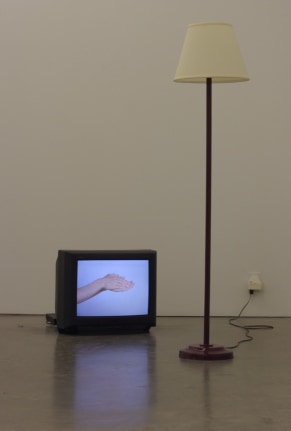 Acéphal Magical, Andrew Kreps Gallery, New York