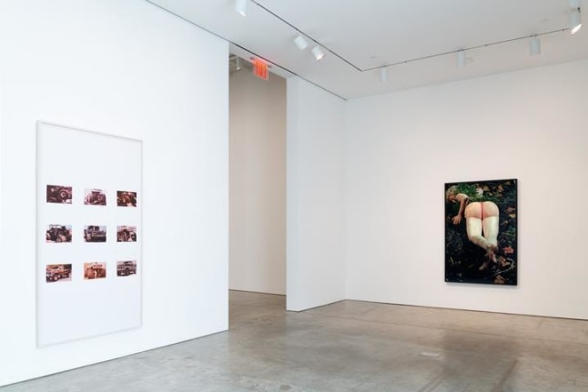 Installation view summer exhibition prince