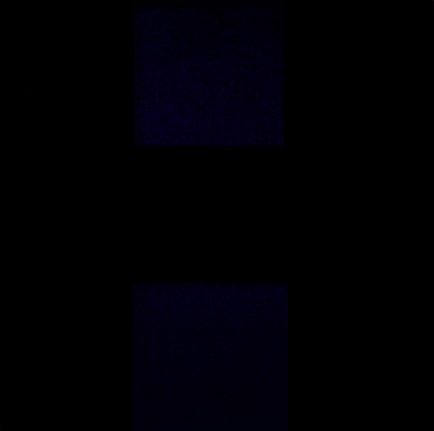 Ad Reinhardt (1913-1967)