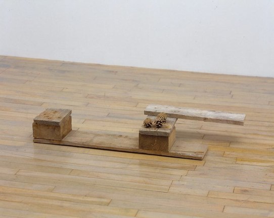 Ballou 2006 pallet wood, pine cones