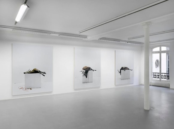 Eric Poitevin&nbsp;&ndash; installation view 5