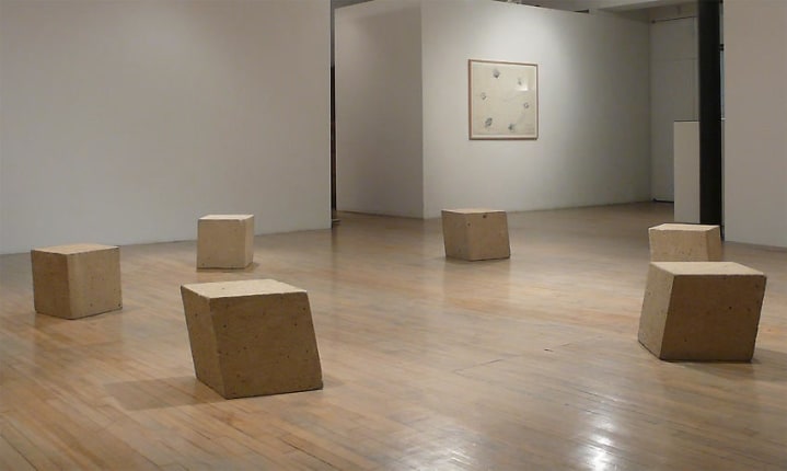 Bruce Nauman Diamond Mind (Diamond Mind Circle of Tears Fallen All Around Me)