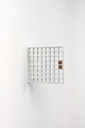 Fernanda Gomes Untitled