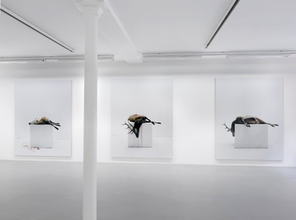 Eric Poitevin&nbsp;&ndash; installation view 8