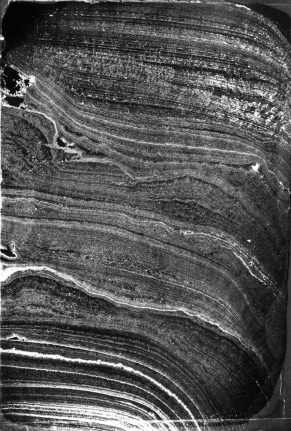 Pétrographie_1 2014 gelatin silver bromide print from a thin stalagmite section