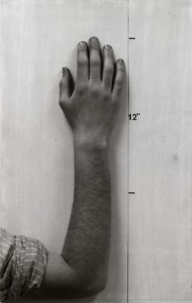 MEL BOCHNER Actual Size (Hand) [diptych with&nbsp;Actual Size (Face)]