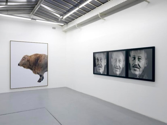 Eric Poitevin&nbsp;&ndash; installation view 4