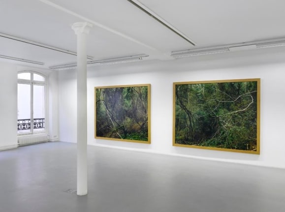 Eric Poitevin&nbsp;&ndash; installation view 7