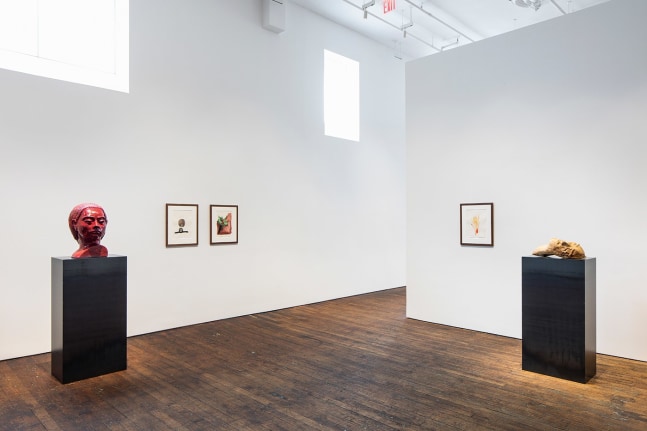 Thomas Schütte, installation view