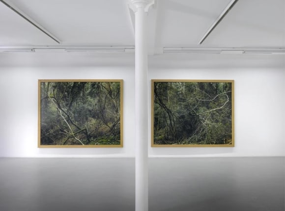 Eric Poitevin&nbsp;&ndash; installation view 6