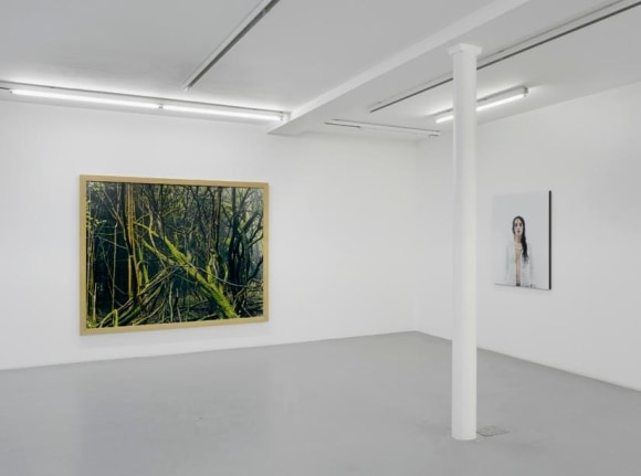 Eric Poitevin &ndash; installation view 1