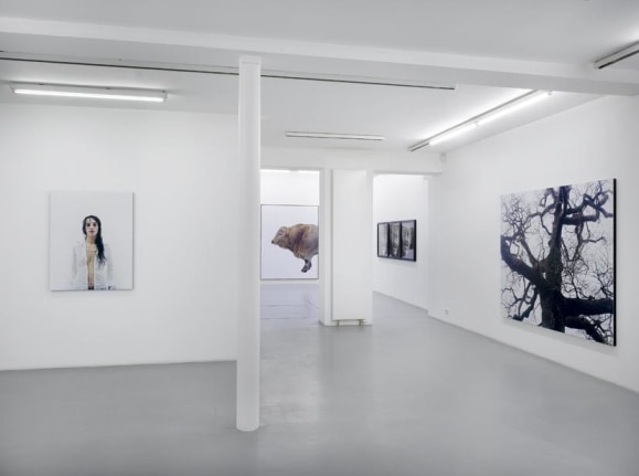 Eric Poitevin &ndash; installation view 2