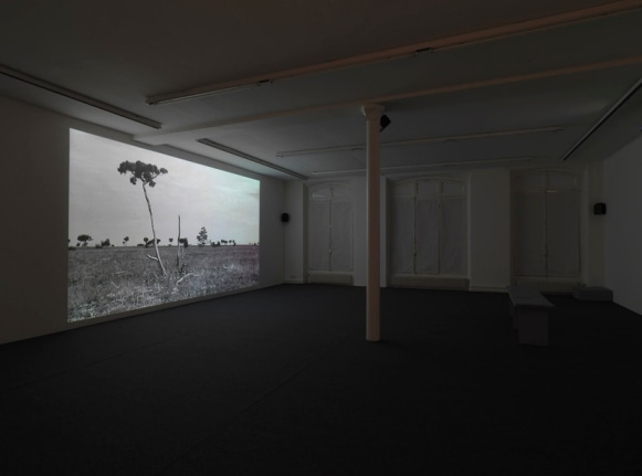Breeze Presented by&nbsp;Marja Bloem&nbsp;&ndash; installation view 6