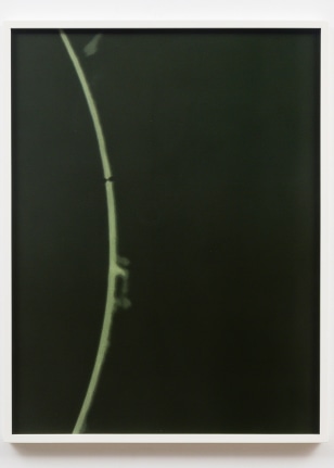 Emission line_10 2018