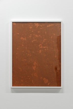 Mea culpa d'un sceptique, Curated by Kate Macfarlane