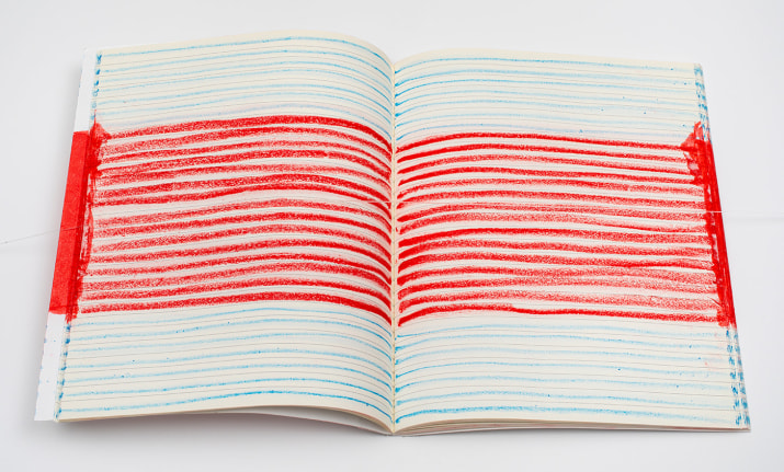 GORAN TRBULJAK, Vježbe jednog umjetnika &ndash; I &ndash; Ono &scaron;to je na koricama (i ono &scaron;to nije) [Exercise of an artist &ndash; I &ndash; What is on the cover (and what isn&#039;t)]