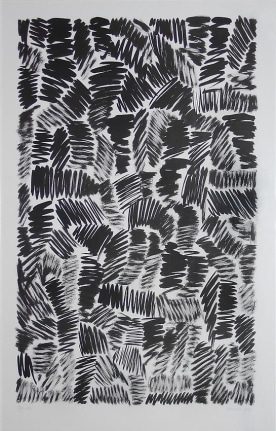 Jan Schoonhoven T 79-112