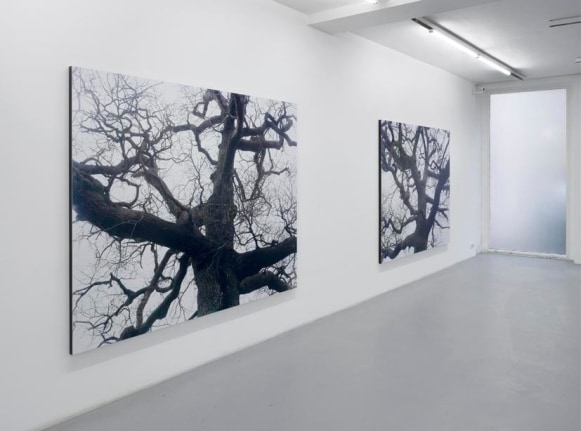 Eric Poitevin&nbsp;&ndash; installation view 3
