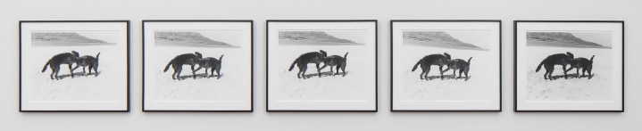 Strike, Strike, Struck